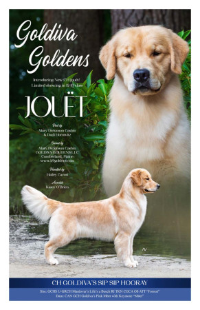 GRCA2024_Cashin_Jouet5