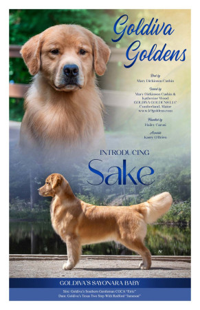 GRCA2024_Cashin_Sake_7