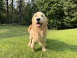 albert-image2