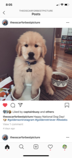 IMG_4513