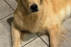 jouet-IMG_7473