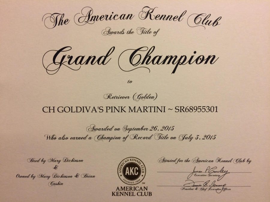 Martini Grand Champion