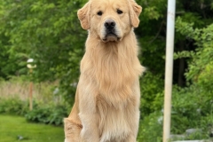 monty-IMG_1283