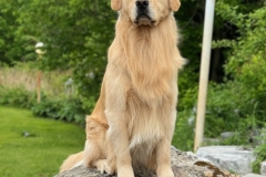 monty-IMG_1295-1