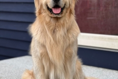monty-IMG_1475
