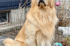 monty-IMG_1688