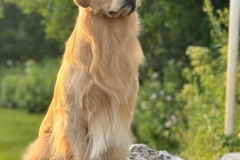 monty-IMG_2148