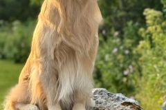 monty-IMG_2156