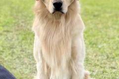 monty-IMG_2331