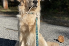 monty-IMG_5050