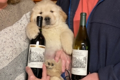 monty-IMG_8827