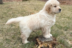 monty-IMG_8936