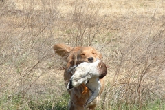 emma-in-duck-2-030705pics-017